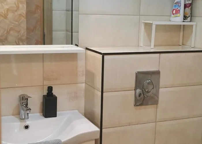 Siraly * זמראדי